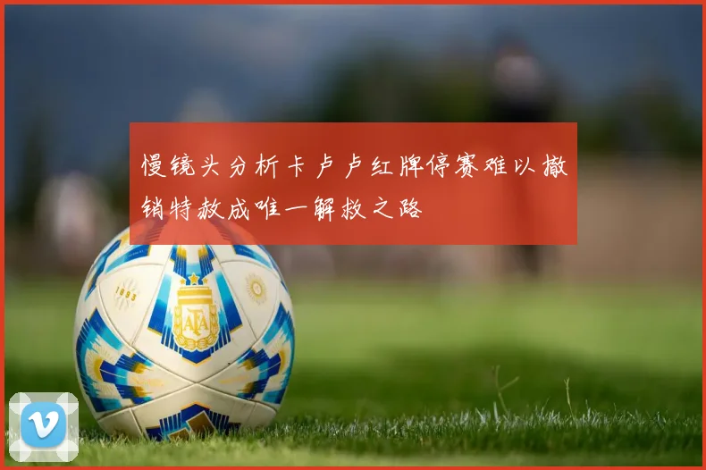 慢镜头分析卡卢卢红牌停赛难以撤销特赦成唯一解救之路